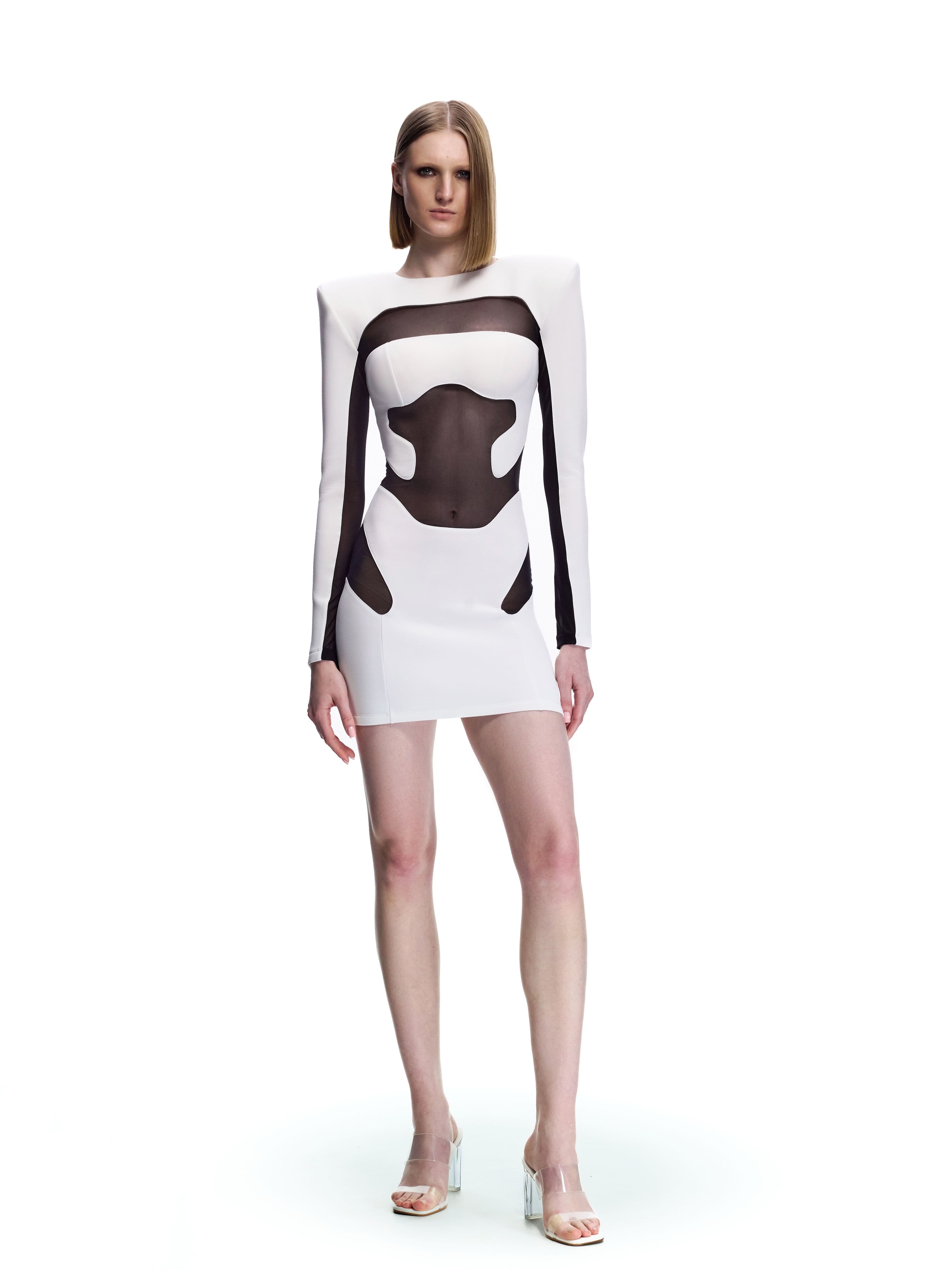 "Monochrome" Mini Dress 