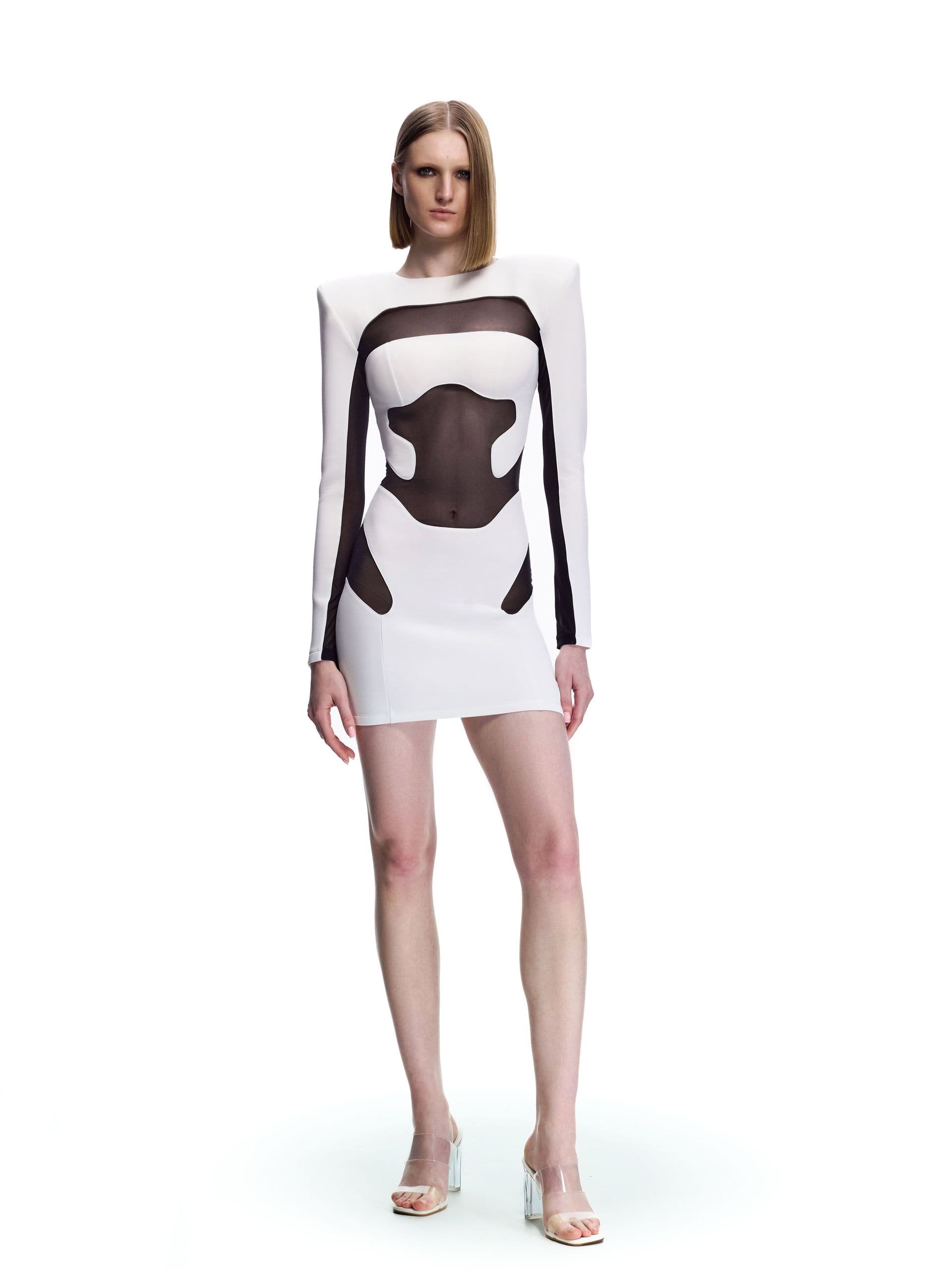 "Monochrome" Mini Dress 